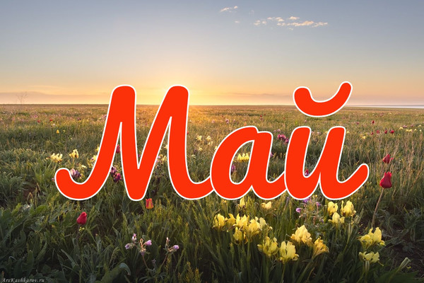 План работы музея на май