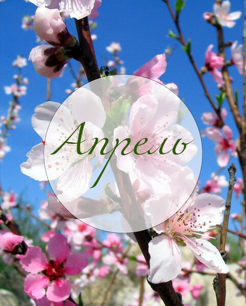 План работы музея на апрель