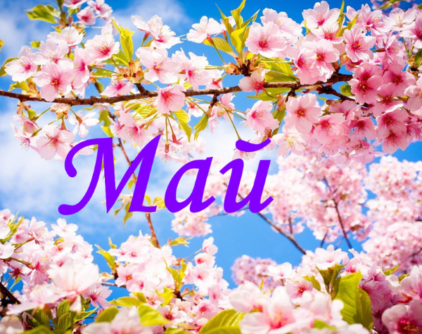 План работы музея на Май