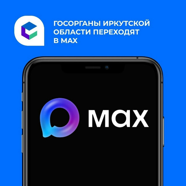 Государственные органы в МАХ