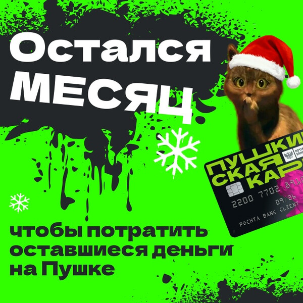 Успей реализовать Пушкинскую карту!