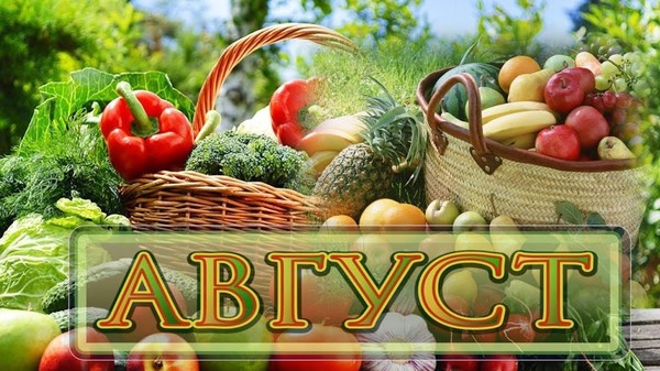 План работы музея на август