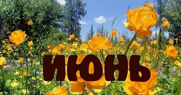 План работы музея на июнь