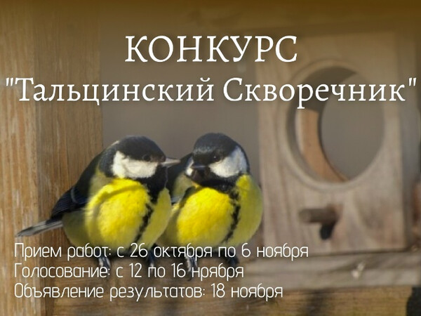 Конкурс «Тальцинский скворечник»