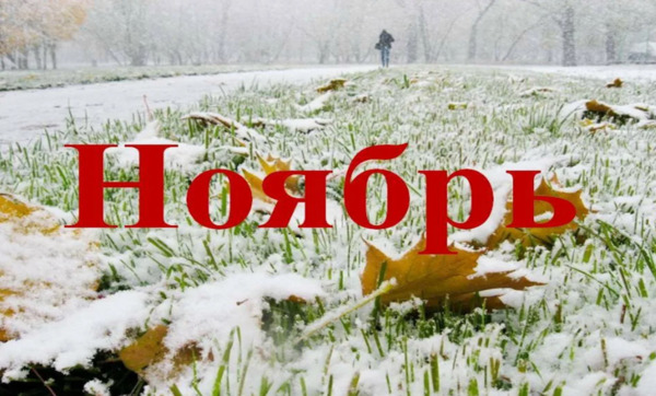 План работы музея на ноябрь